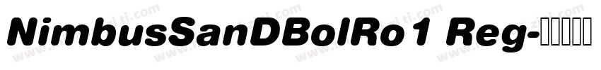 NimbusSanDBolRo1 Reg字体转换